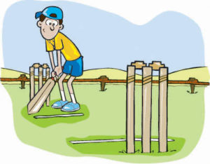 Short Essay on Cricket Match in Hindi