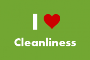 Essay on Cleanliness in Hindi - स्वच्छता पर निबंध